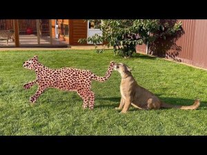 Месси расправился с соперником!