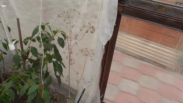 Середина осени смотреть онлайн