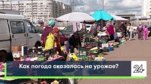 Как погода сказалась на урожае?