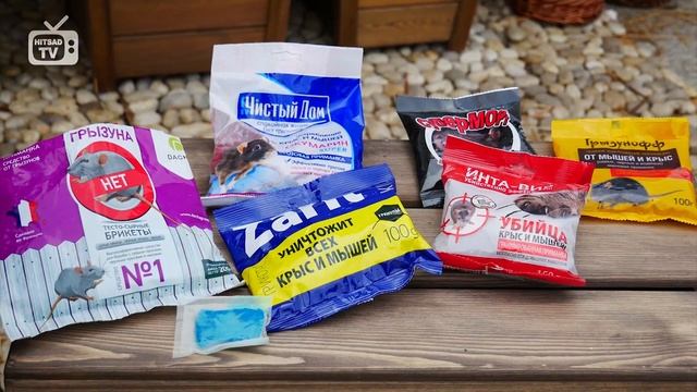Как спасти урожай от грызунов? ? Обзор препаратов от эксперта hitsadTV