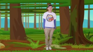 Walk In The Woods Animal Song with Matt | Action Song for Children | Learn English Kids