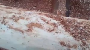 шкурёшка бревна под электро рубанок