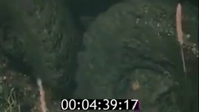 Автомобили УРАЛ  1989