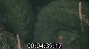 Автомобили УРАЛ  1989