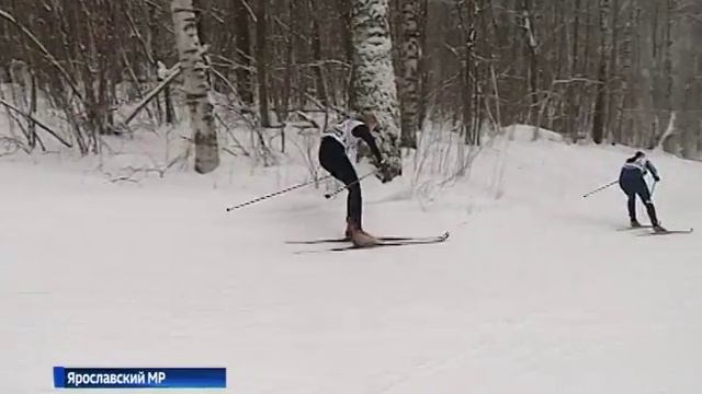 В Подолино стартовало первенство ЦФО по лыжным гонкам смотреть онлайн