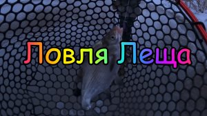 Ловля Леща ! Жерех ! Берш ! Рыбалка в Ноябре 2022 ! Москва река !
