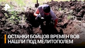 Останки погибших в ходе ВОВ бойцов нашли под Мелитополем / РЕН Новости