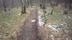 Тестирование ЮБР на Петрошине К124 и Л239