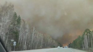 Пожар в лесу, трассу около Кургана перекрыли 29 апреля 2022 г.Fire in the forest