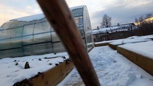 СРОЧНО СДЕЛАЙТЕ ЭТО В ТЕПЛИЦЕ ЗИМОЙ И УРОЖАЙ ВАС ПРИЯТНО УДИВИТ!