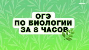 ОГЭ 2024 ПО БИОЛОГИИ за 8 часов: Консультация перед экзаменом