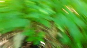 Нашёл 4 изолятора ШС 10-В 1976 года![isolator hunt/hunting]Изоляторы в деле!