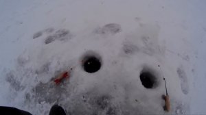 Ловля плотвы Финский залив Зимняя рыбалка