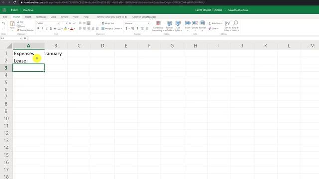 Excel Basics for Beginners
