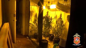 Житель Подмосковья ожидает суда за незаконный оборот наркотиков и легализацию преступных доходов