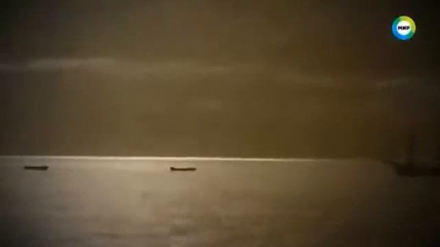 В Дели из секретной лаборатории вырвались обезьяна подобные ЛЮДИ - МОНСТРЫ . смотреть онлайн