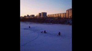 Зимняя рыбалка на реке Миасс, в центре горда street fishing
