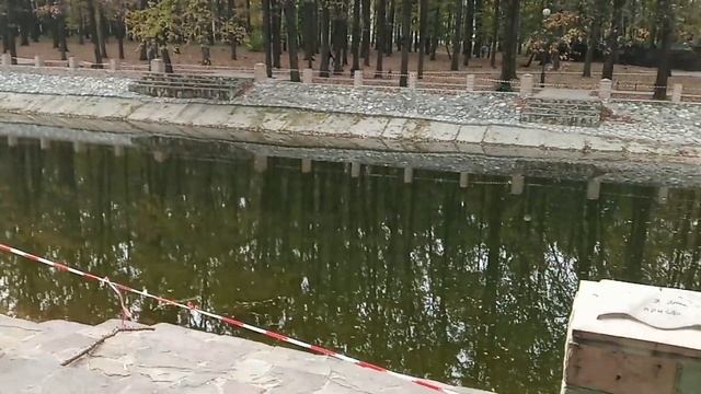 НОВОМОСКОВСК: Детский парк, богатыри и пруды | Тульская область