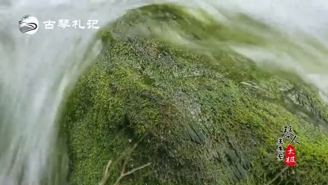 古琴曲《太極》 Taiji Music：空靈淡雅，如入仙境