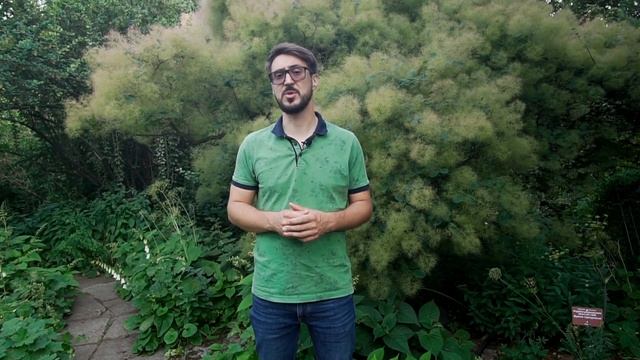 Почему НЕЛЬЗЯ делать АВТОПОЛИВ без ЁМКОСТИ ДЛЯ ПОЛИВА? | Как выбрать ЁМКОСТЬ ДЛЯ АВТОПОЛИВА?
