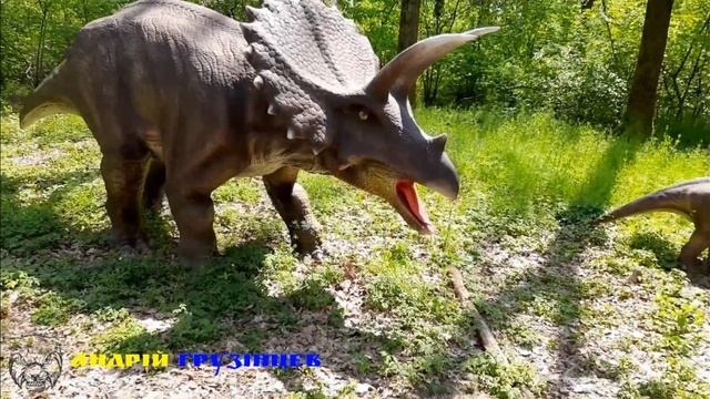 DinoPark Берегово - Парк динозаврів та розваг. ДІНОПАРК с. Яноші Берегівський р-н ТРАВЕНЬ 2021