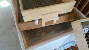 Инкубаторы Блиц Норма 72, ПК 1. Обзор.