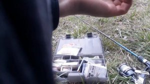 Ловля пассивного окуня на джиг, отметилась и щука