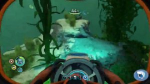 В поисках немо