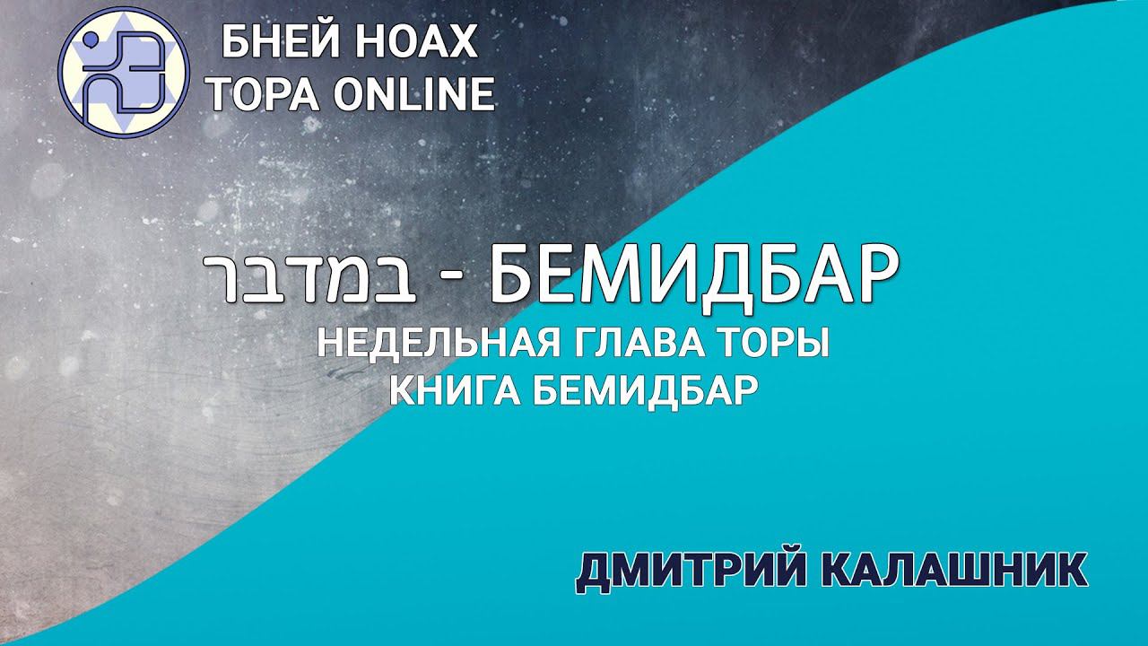 Недельная глава Торы - Парашат а-шавуа -  "Бемидбар" 5784/2024. Дмитрий Калашник