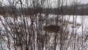 Toyota Highlander off road