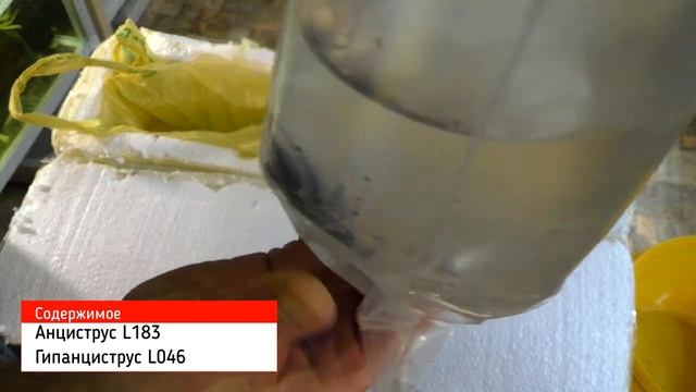 Модное слово - "Распаковка" смотреть онлайн