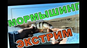 МОРМЫШИНГ! ЗИМНИЙ ЭКСТРИМ!
