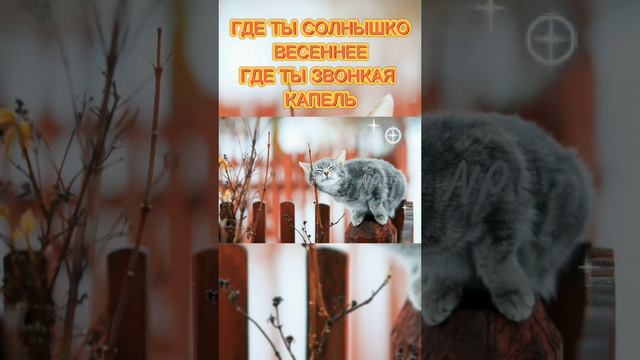 Ждём весну!