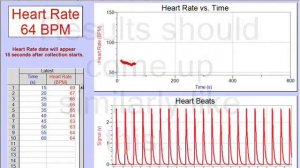 Heart rate Monitor