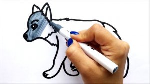 How to draw a wolf | Как нарисовать волка | Сурет салу Қасқыр