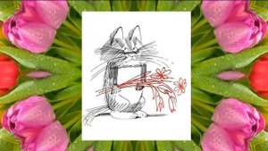 "333 кота Виктора Чижикова"