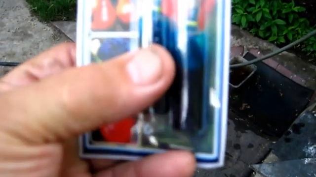 Опрыскивание растений  припаратом БИ 58 от всяких вредителей