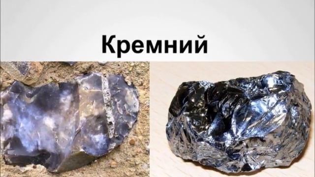 Серебромедин, Экстракт кедра, Торфогель Кремний+: новые препараты для органического земледелия