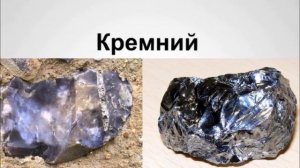 Серебромедин, Экстракт кедра, Торфогель Кремний+: новые препараты для органического земледелия