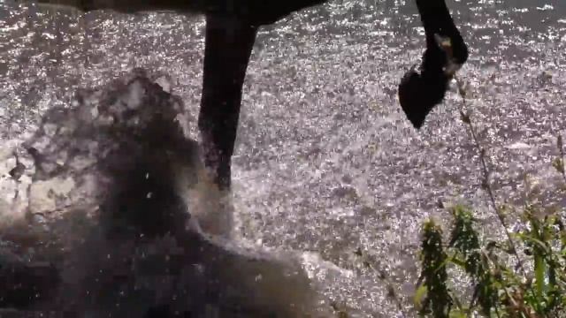 Вил Усманов - Эткэйне юксынып смотреть онлайн