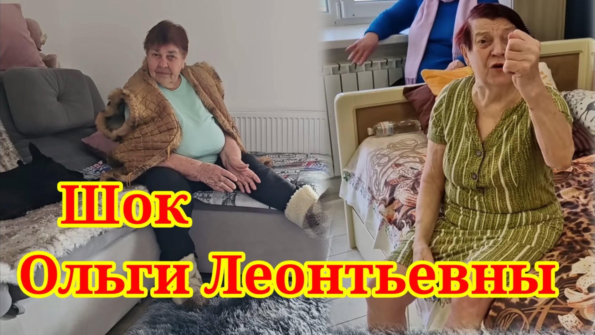 Шок Ольги Леонтьевны. Обзор