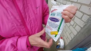Уход за розами осенью. Обработа и обогащение земли.