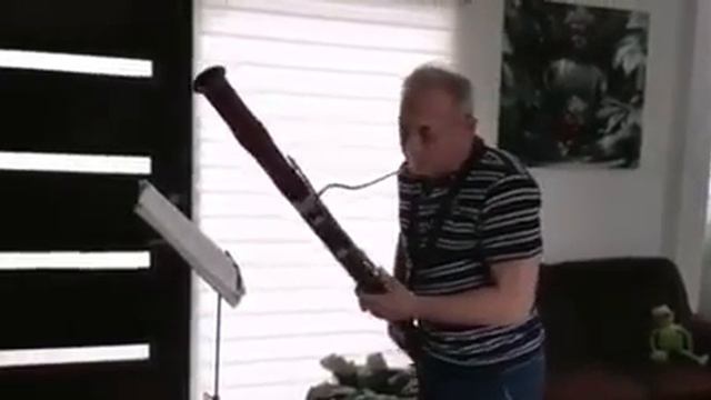 Aquellos ojos verdes - (COVER fagot - Igor Boudniak) смотреть онлайн