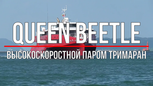 Паром-тримаран Queen Beetle