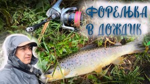 Форель в дождик