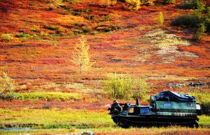 Путешествие в страну Онкилонов (1 часть).