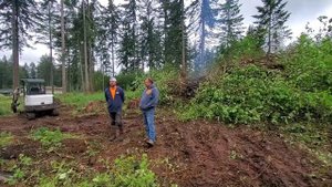 Заготовка дров в Америке // часть 2 //