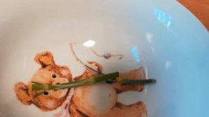 Гусеница в квартире