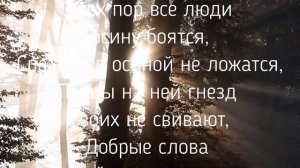 Защита на осину   Заговор.