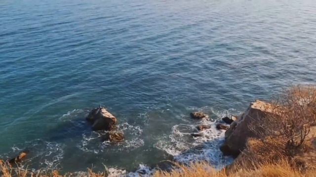 В Крым на машине. Алушта, мыс Алчак, Сырная скала. Путешествие по Крыму с собакой. #крым смотреть онлайн